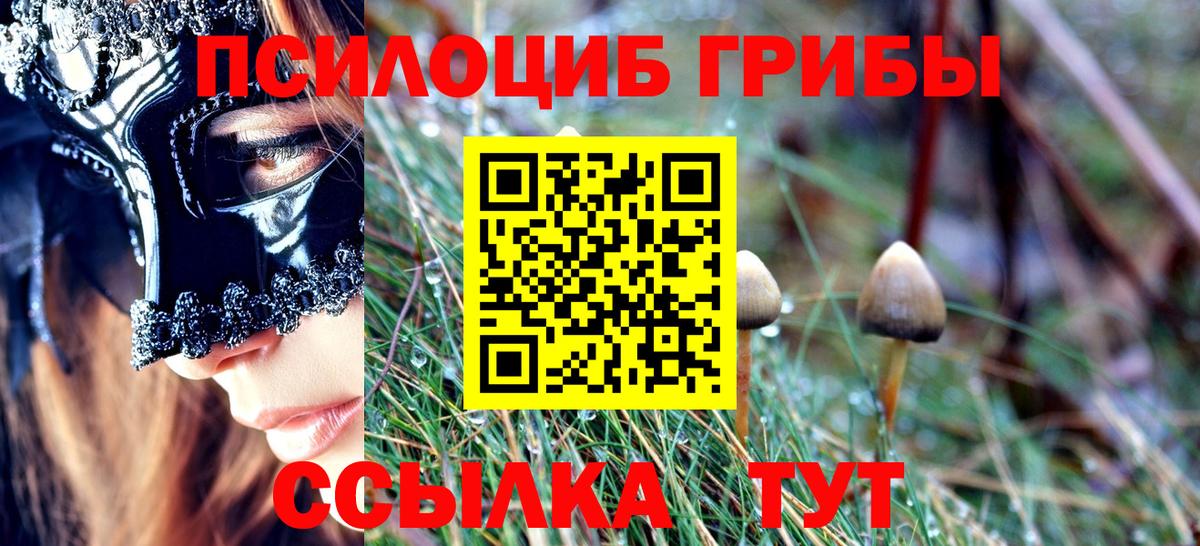 Псилоцибиновые грибы Psilocybine cubensis Ставрополь